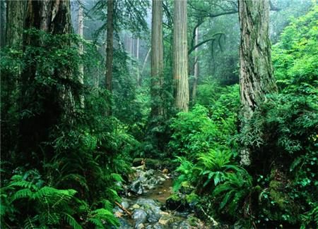 ؓ�x�ӯ���