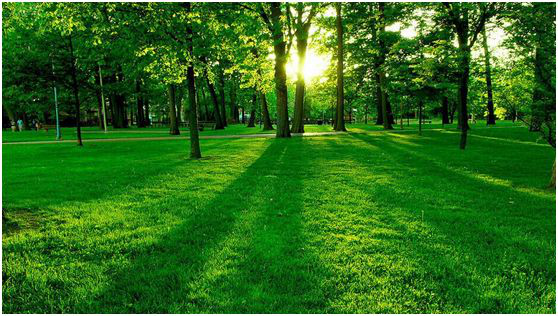 負(fù)氧離子療養(yǎng)三高 負(fù)氧離子療養(yǎng)三高