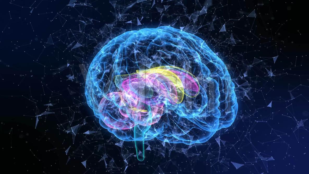 ��������(du��)�������X��ƣ�ڡ�����(qi��ng)ӛ�������@��Ч��