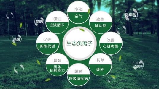 ؓxֽС՚SءЃ՚ͯBɴЧ