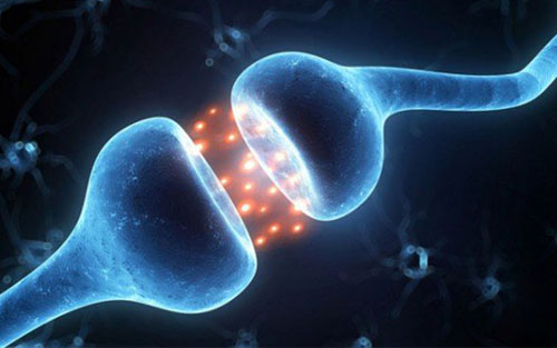 ؓ(f��)�x�ӿɸ��ƌW(xu��)����������ߌW(xu��)��(x��)�ɿ�