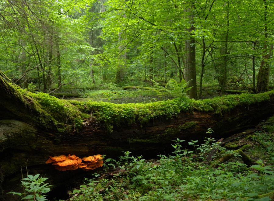 ؓ(f)xӡؓ(f)xӡ՚ؓ(f)xʲô^(q)eأ