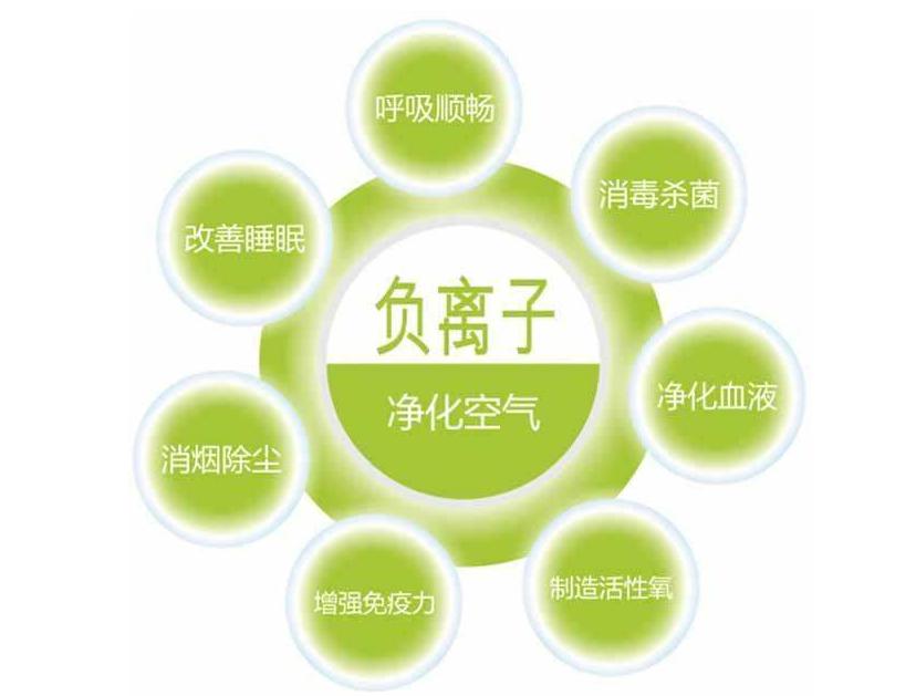 ؓ(f)xС՚SءL(zhng)ءQ