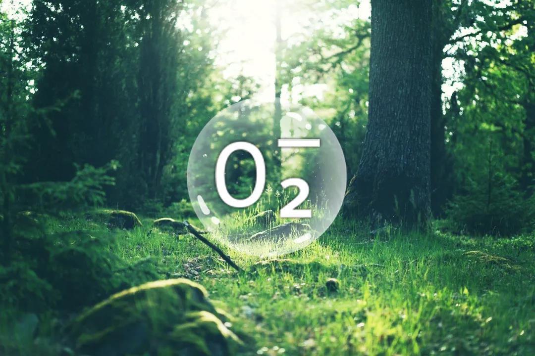 ؓ(f)xӯθѪX(dng)}ӲRt(y)W(xu)(sh)