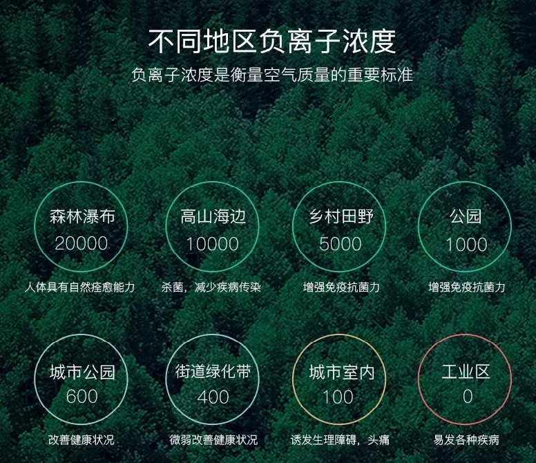 ؓ(f)xӝȷǳ֮ͣҴr(sh)gǳ֮