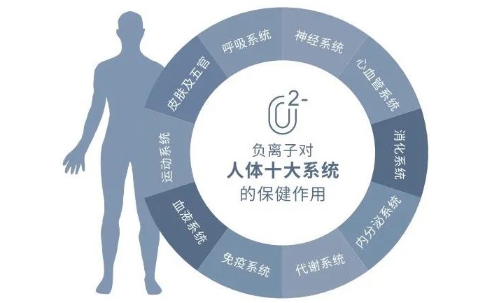 ՚ؓ(f)xӯǬF(xin)t(y)W(xu)֮һ