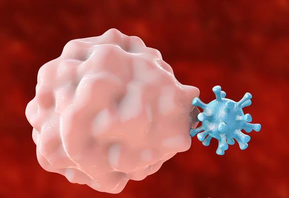 負(fù)離子能增強(qiáng)白細(xì)胞吞噬細(xì)胞的功能 負(fù)離子能增強(qiáng)白細(xì)胞吞噬細(xì)胞的功能