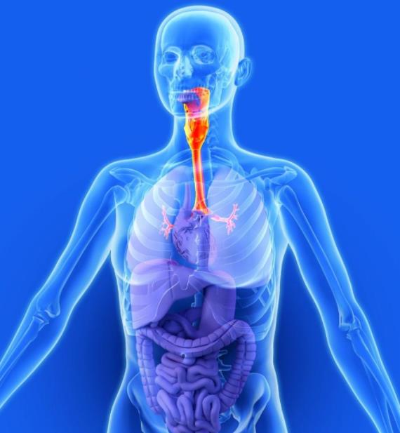 負(fù)氧離子能增強(qiáng)人體免疫力,提高機(jī)體的解毒能力 負(fù)氧離子能增強(qiáng)人體免疫力,提高機(jī)體的解毒能力