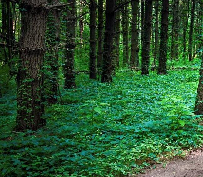 ؓ(f)xӿкͿ՚Ў늵ĉm