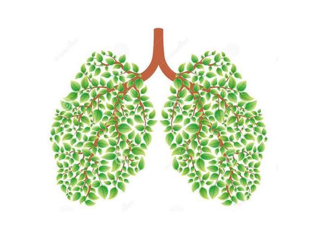 ؓxӄtһNȫµĸƿ՚|(zh)ʽ