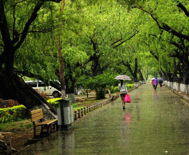 ؓ(f)xӾЃ՚ã˱(yng)õ՚I(lng)