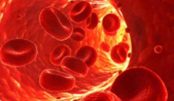 負氧離子:心腦血管疾病的終結者