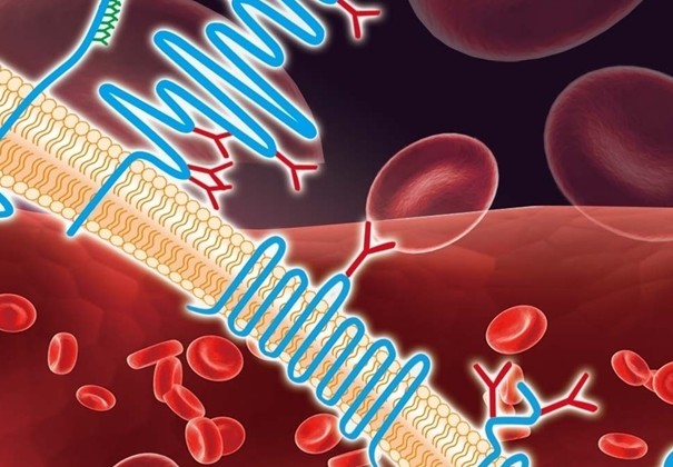 ���B���ҡ��t�W������������x�՚�ؓ�x�ӵ��t�Wؕ�I